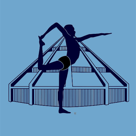 Iyengar-Yoga